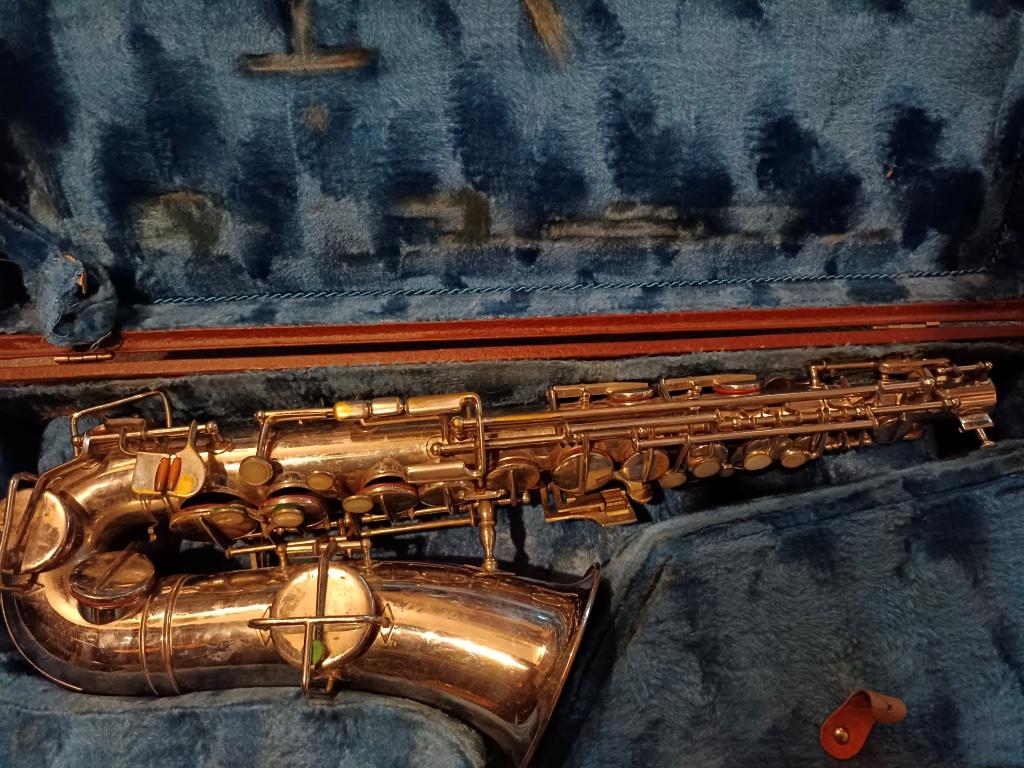 Alt Saxofon 